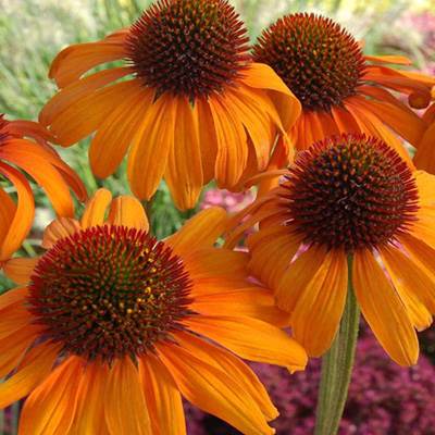 Udraw Marvel Super Hero Squad Comic Combat