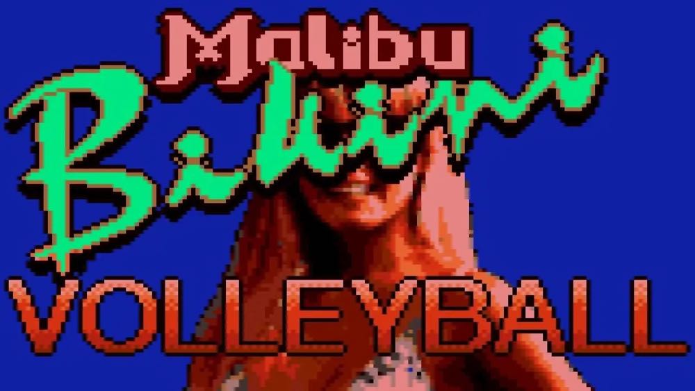 Malibu Bikini Volleyball - Atari Lynx (Atari Corporation) video game collectible - Main Image 3