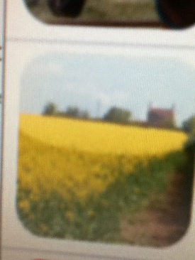 Harry Potter Quidditch - Weltmeisterschaft