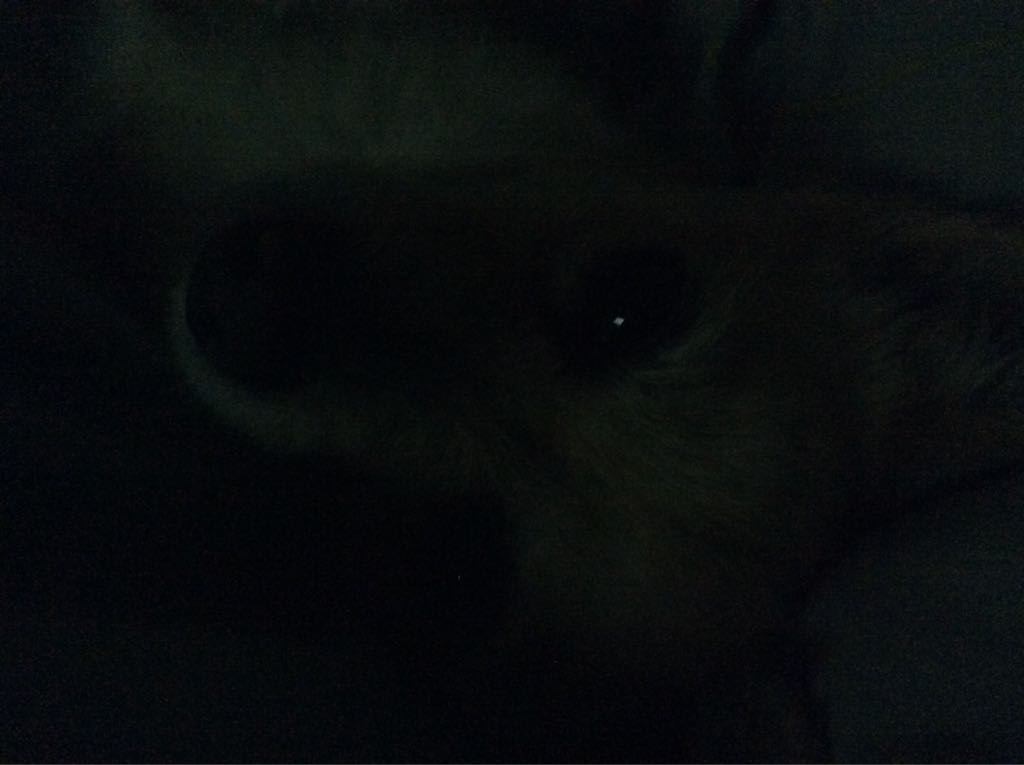 Sonic & All-Stars Racing Transformed