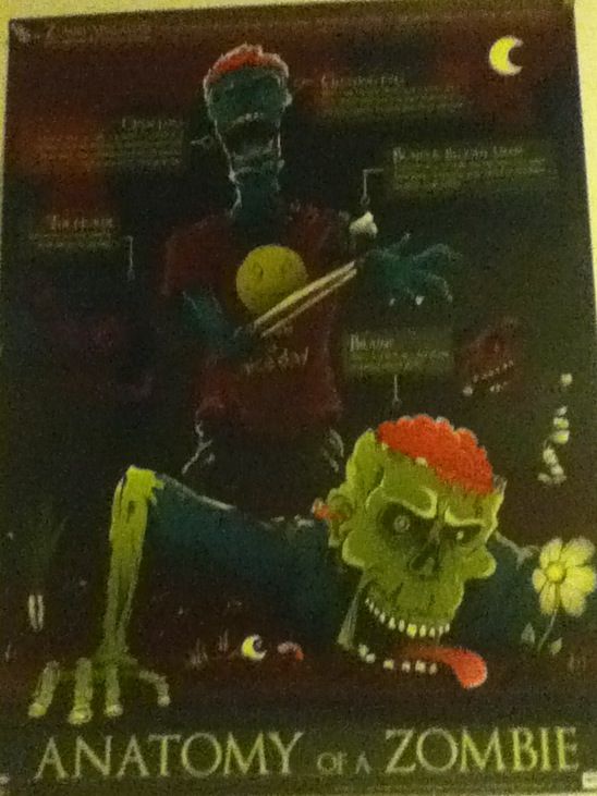 Sonic & All-Stars Racing Transformed