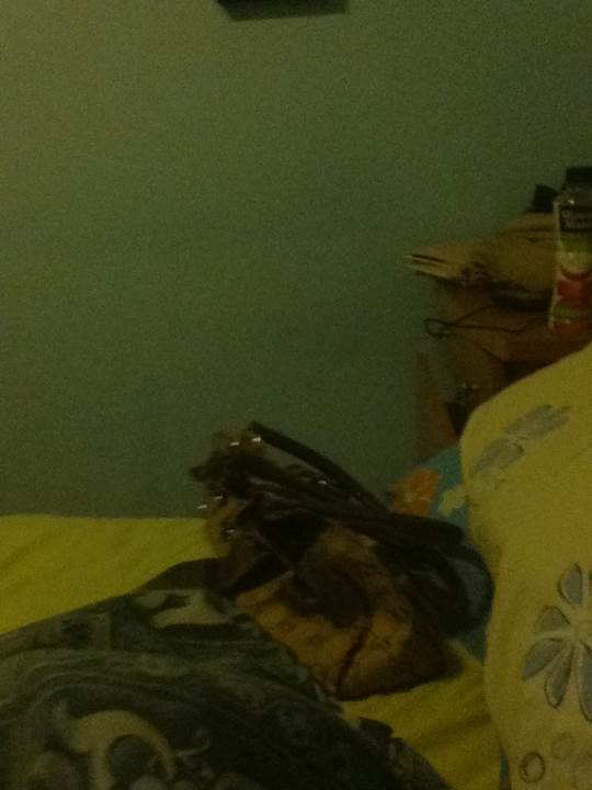 Endless Ocean: Blue World