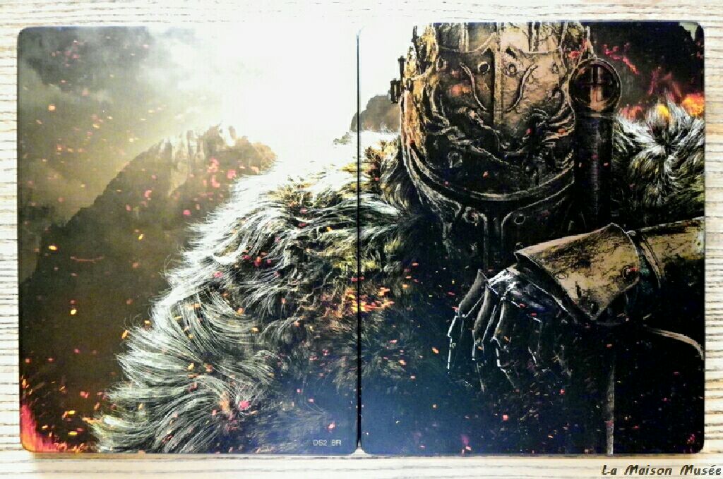 Dark Souls 2 - Sony PlayStation 3 (PS3) video game collectible - Main Image 1