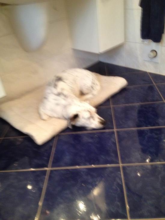 Wik & The Fable Of Souls