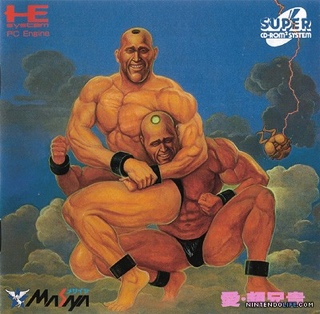 Nancy Drew #10 - The Secret of Shadow Ranch