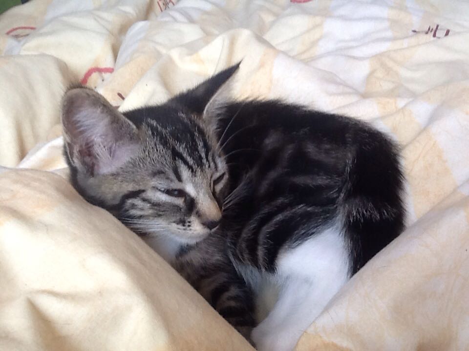 Image 1284993