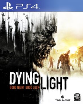 Dying Light video game collectible - Main Image 1