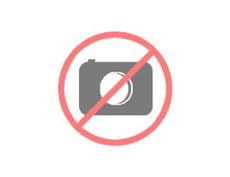 Image 1310709