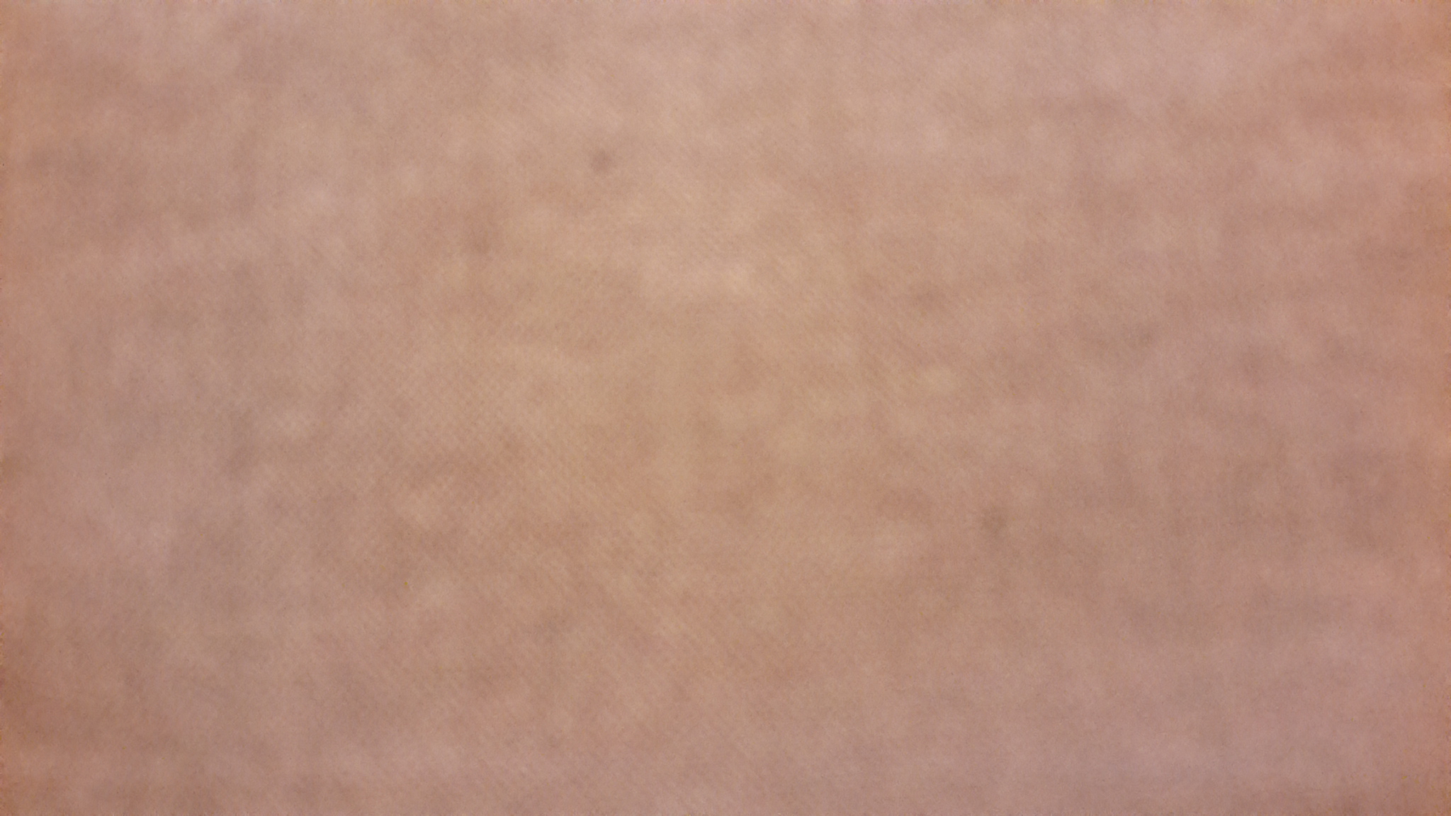 Sly Cooper : Voleurs A Travers Le Temps