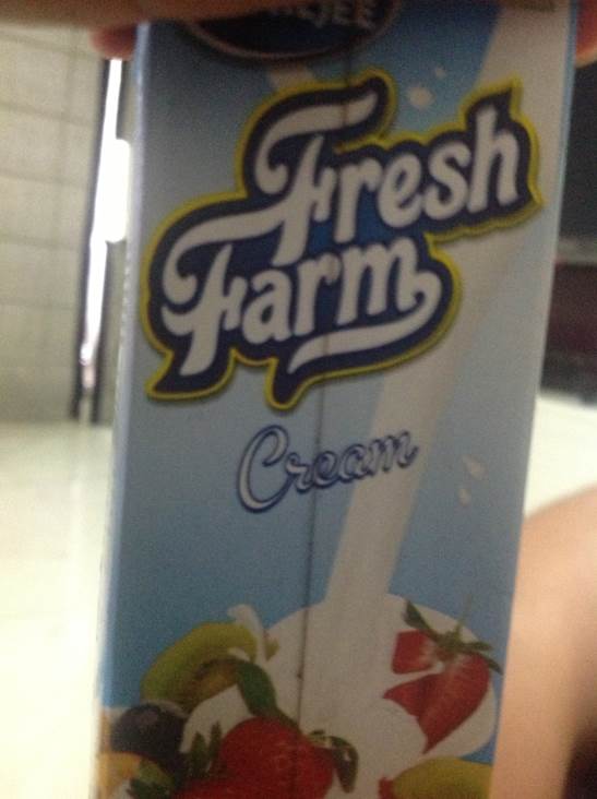 The Sims Makin’ Magic Expansion Pack