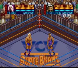 WCW Superbrawl Wrestling - Nintendo Super Nintendo Entertainment System (SNES) (FCI) video game collectible - Main Image 2