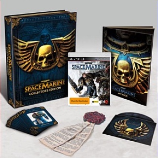 Let’s Ride! Sunshine Stables