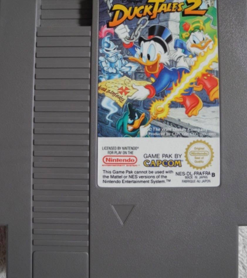 Let's Ride! Horse Adventures