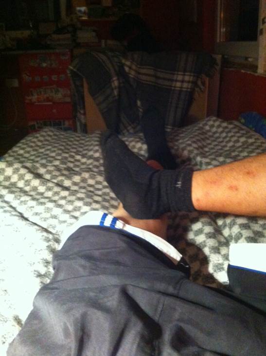 Blue’s Clues: Blue’s Alphabet Book