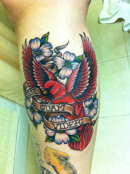 Driver San Francisco Collector Pack