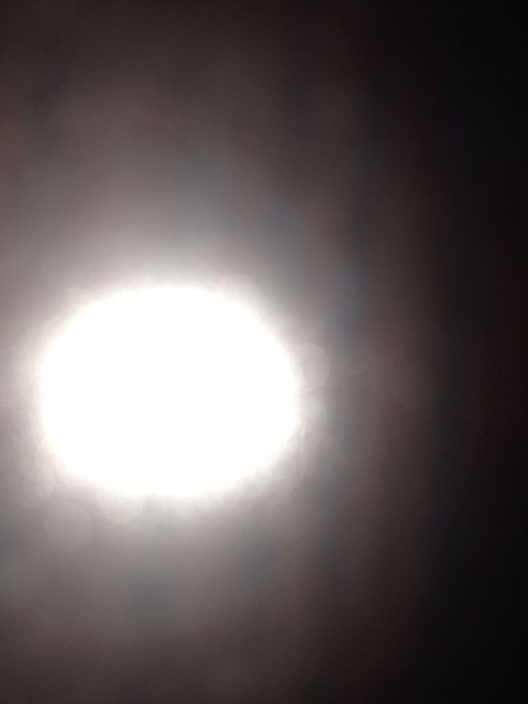 Kids Playground: Dinosaurs Shapes & Colors