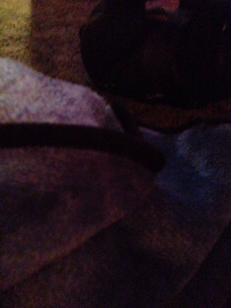 Game Party En Action