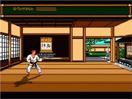 Budokan - The Martial Spirit - Commodore Amiga video game collectible - Main Image 2