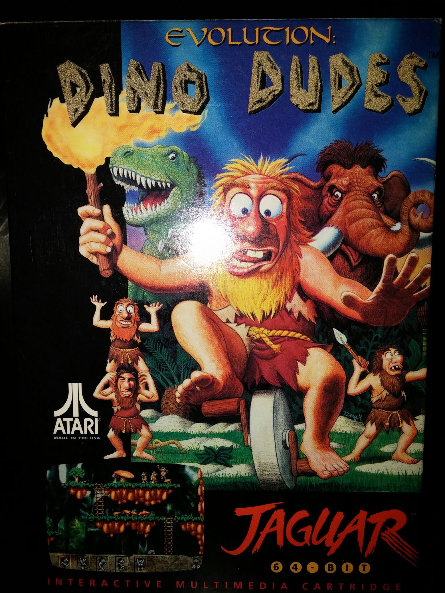 Cotton - Fantastic Night Dreams