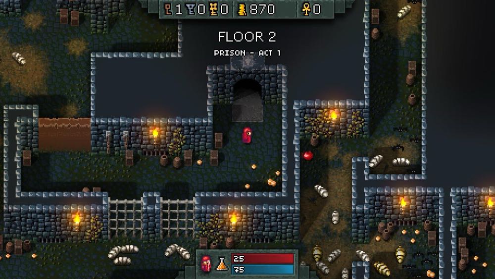 Hammerwatch - Valve Steam (Team17 - 1) video game collectible - Main Image 4