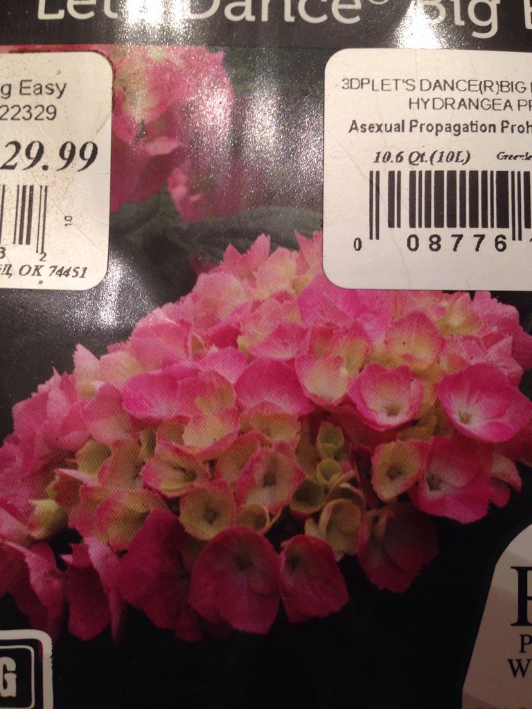 Oddworld: Abe’s Oddysee