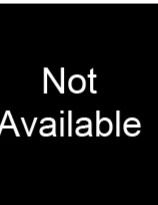 New Super Mario Bros. Wii