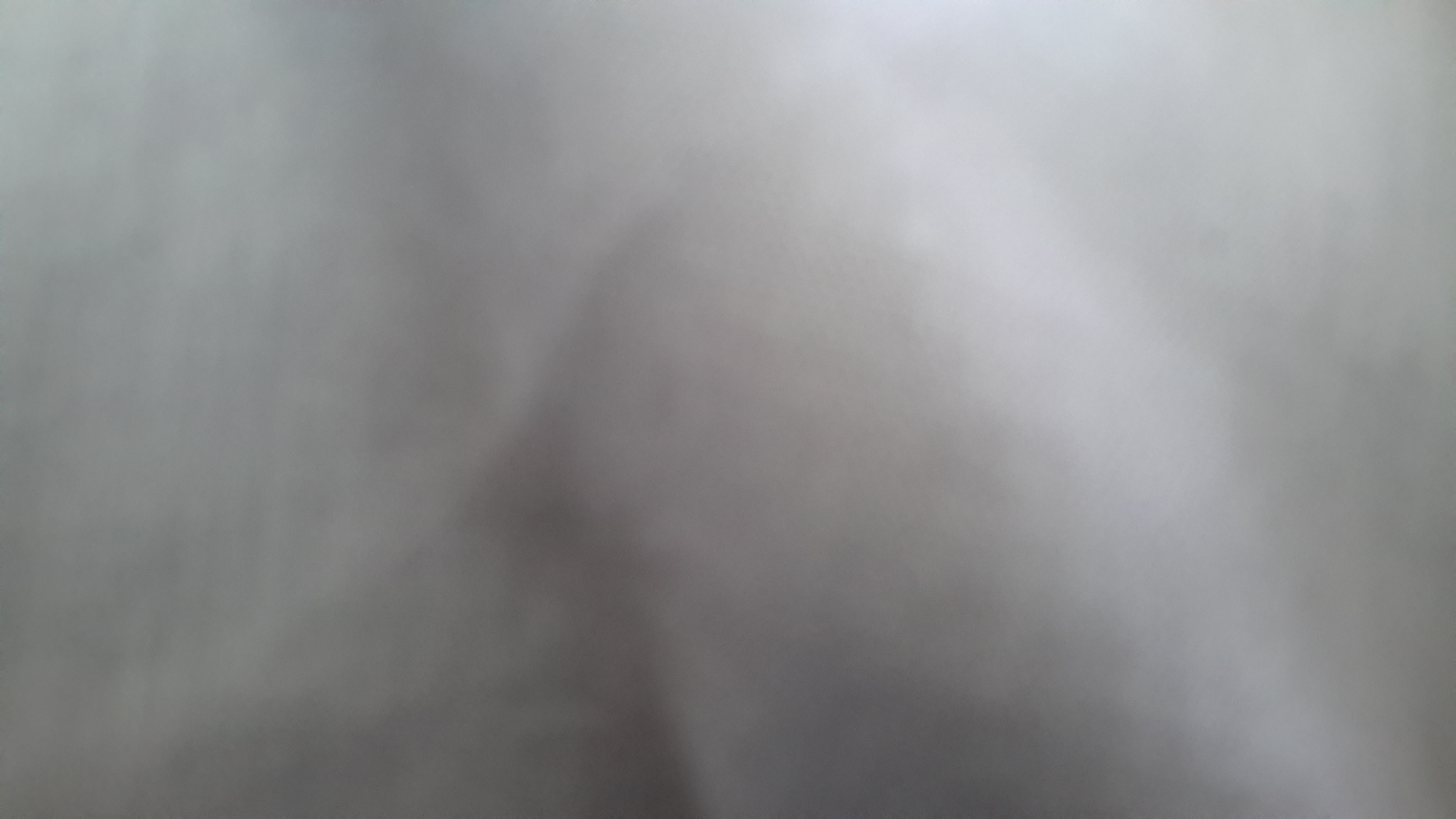 Image 894240