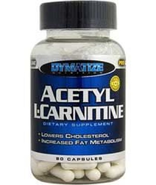 Burnout Paradise The Ultimate Box