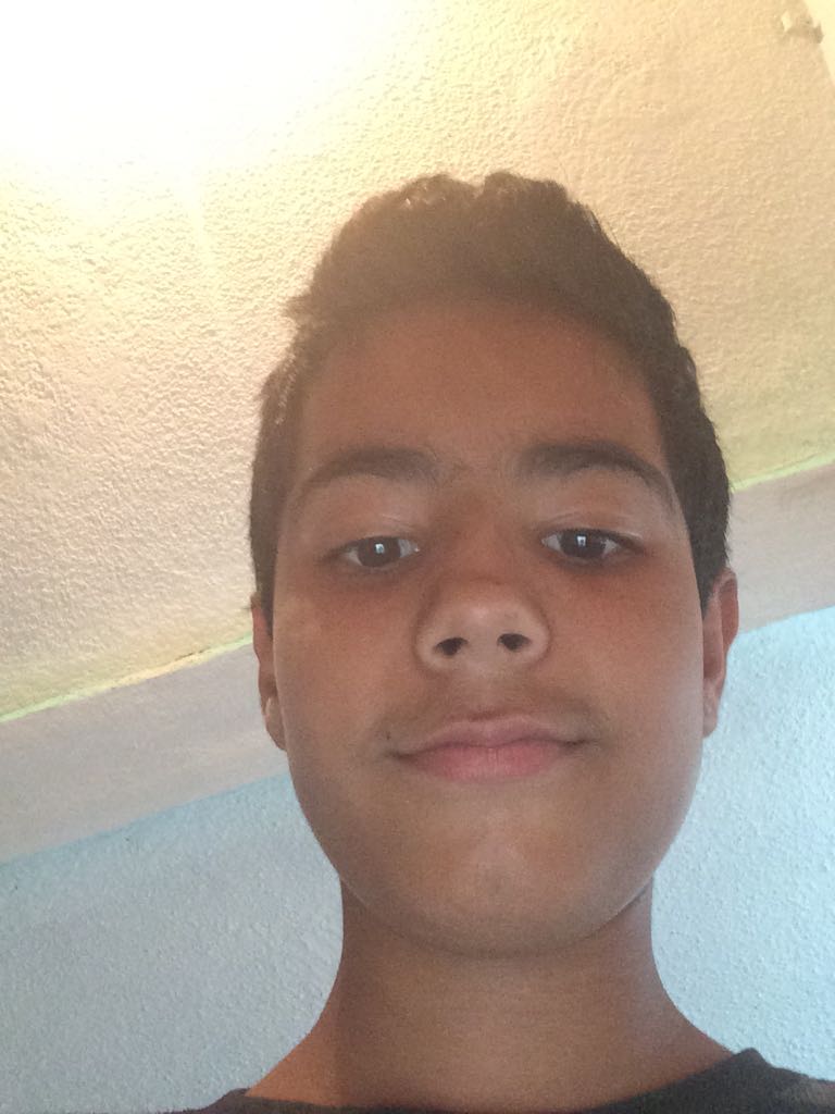 Tony Hawk’s: Project 8