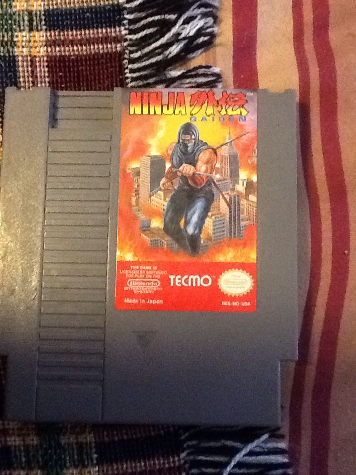 NINJA GAIDEN