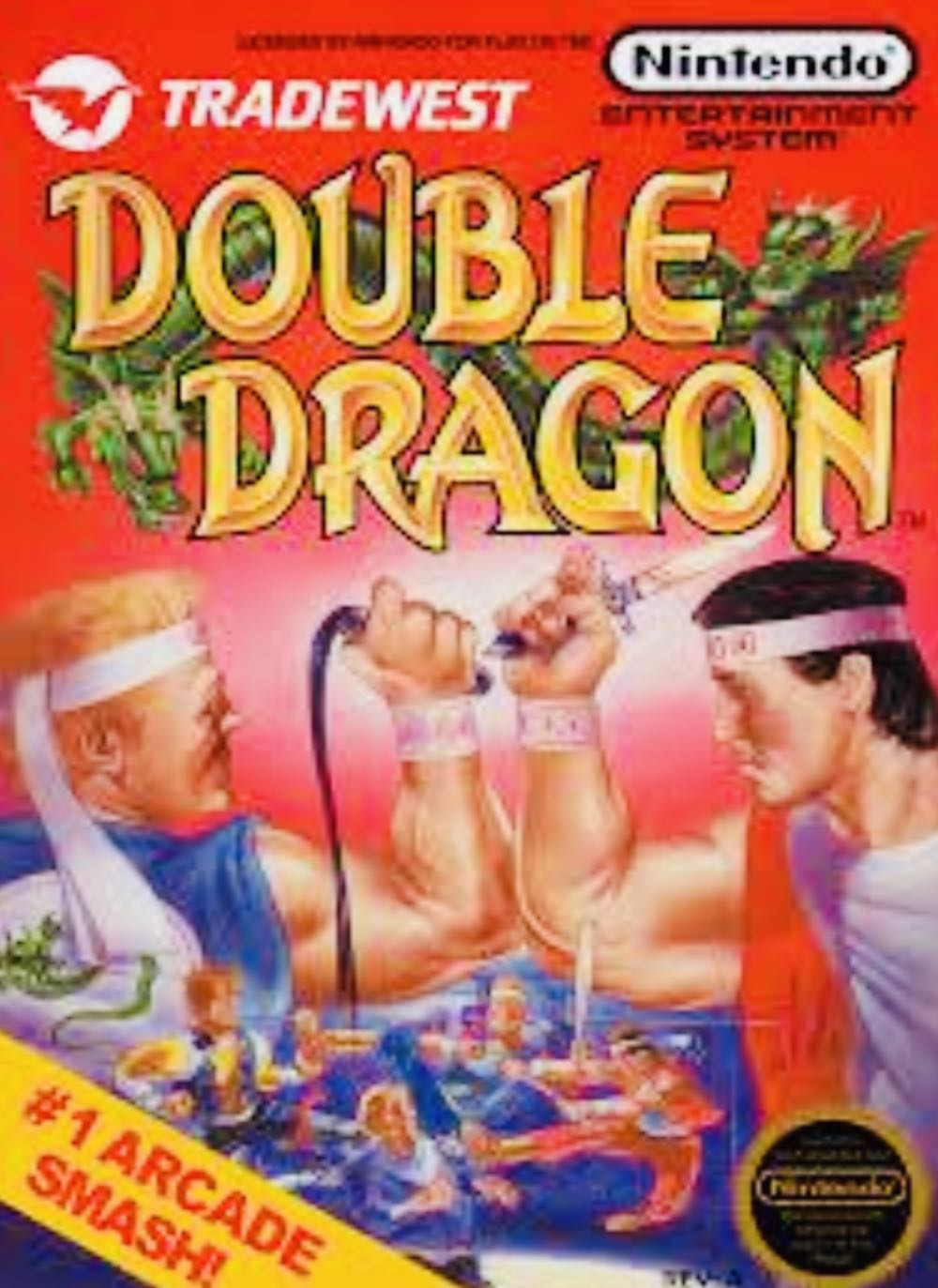 Double Dragon - Nintendo Entertainment System (NES) video game collectible - Main Image 2