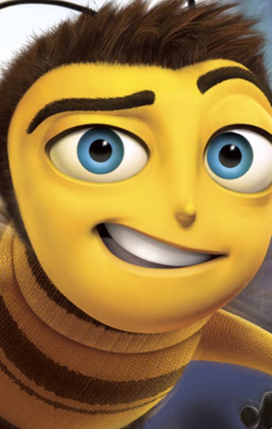 Bee Movie Game - Nintendo DS (Disney - 1) video game collectible - Main Image 1