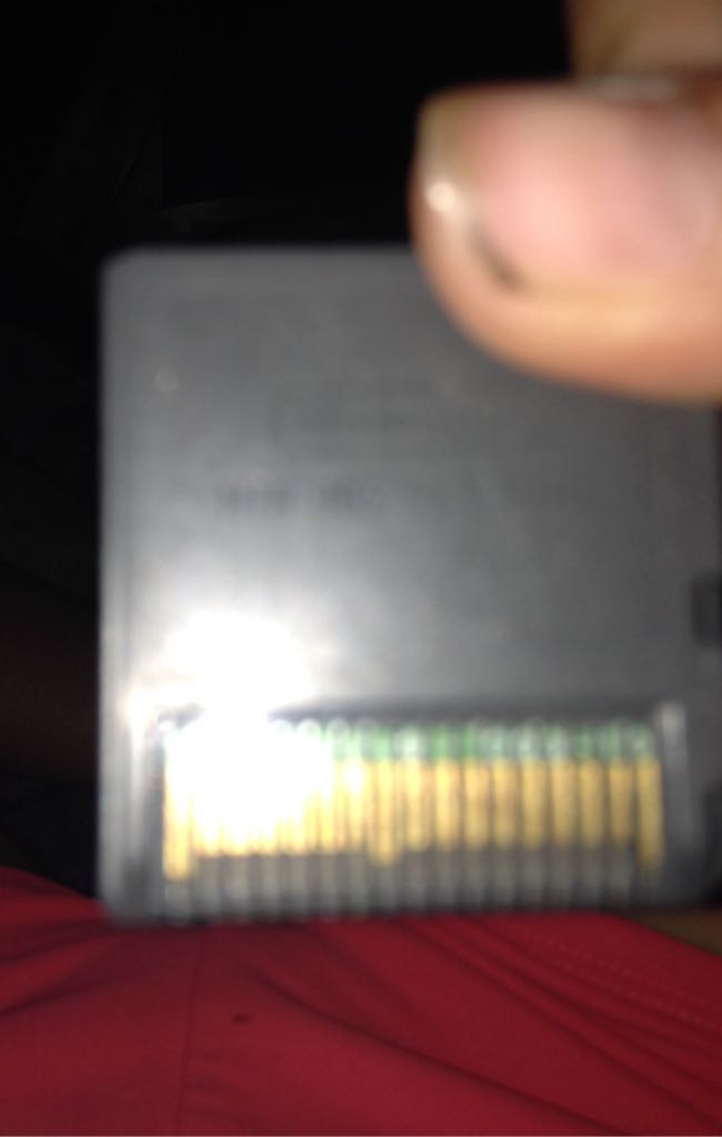 Nintendogs - Other (Ds Nintendo) video game collectible - Main Image 2