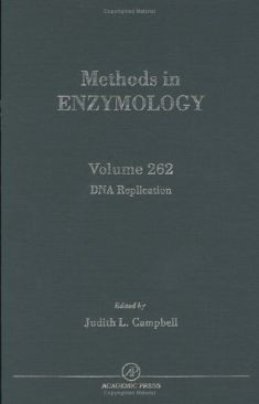 Def Jam Fight for NY