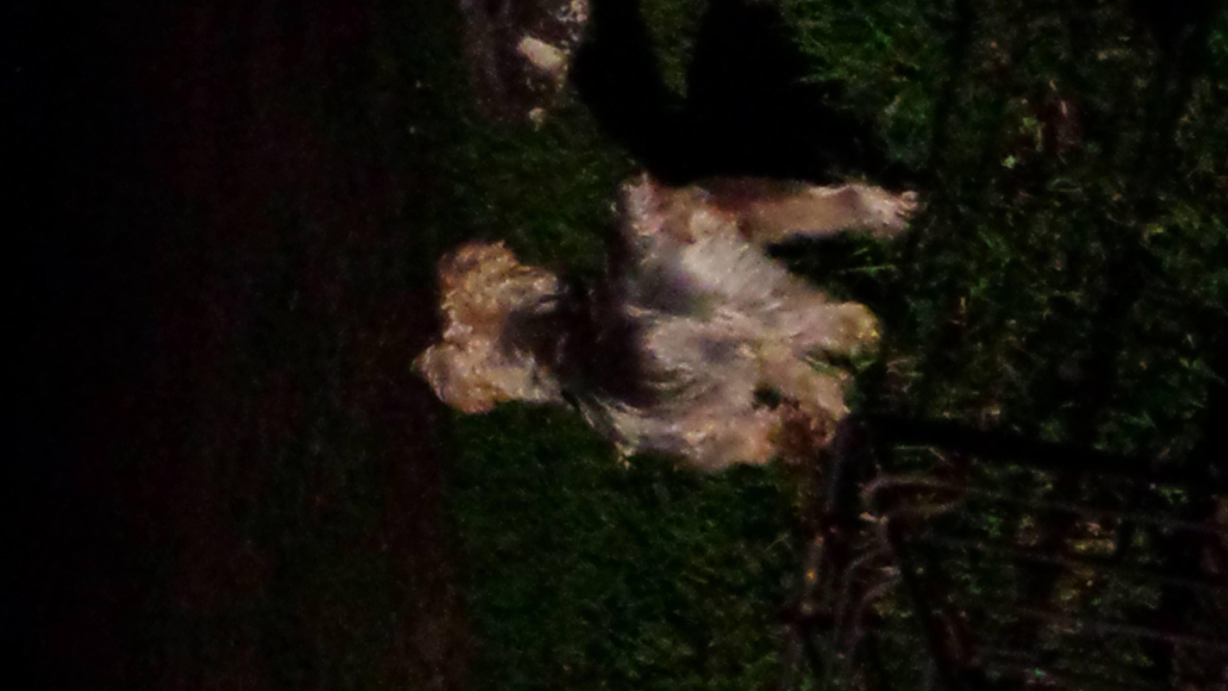 Looney Tunes Duck Amuck