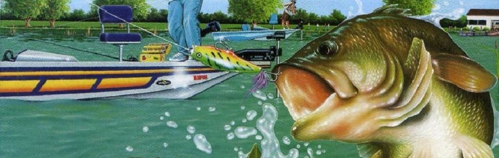 SEGA BASS FISHING - Sony PlayStation 3 (PS3) (Sega - 2) video game collectible [Barcode 9973363503109] - Main Image 2