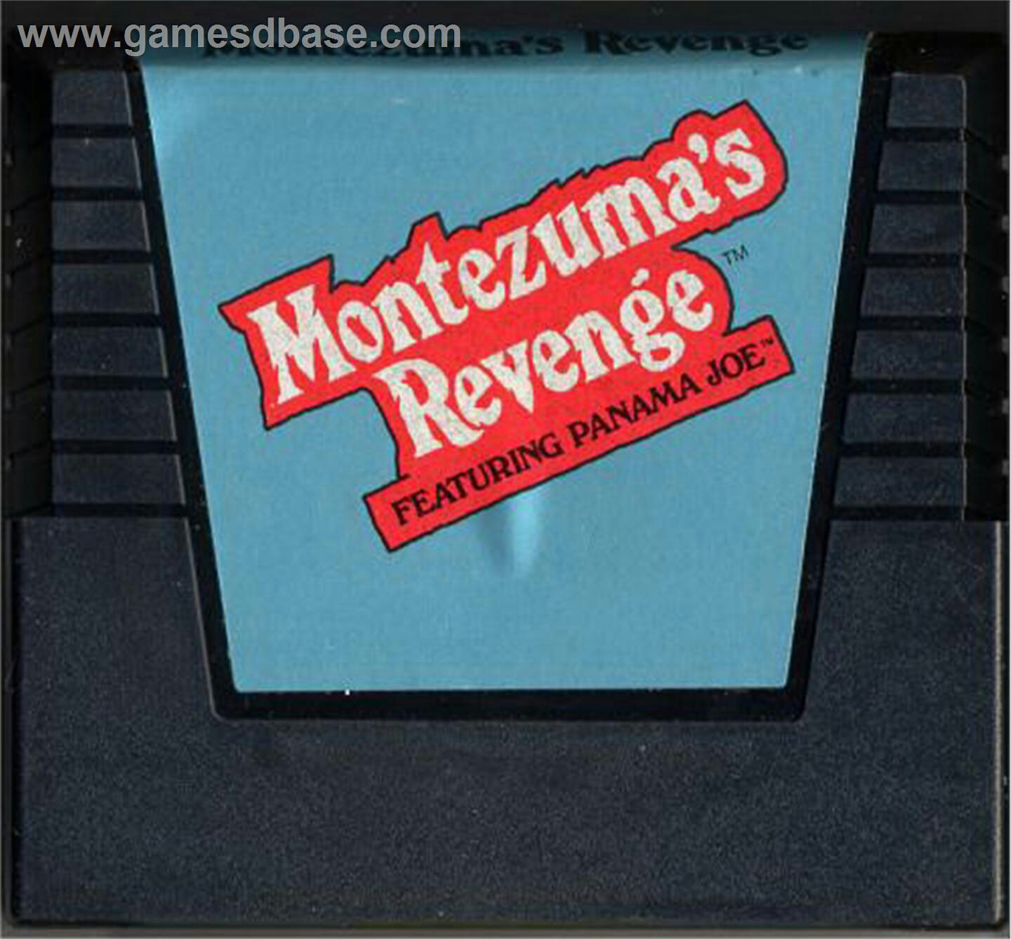 Viva Pinata Special Edition