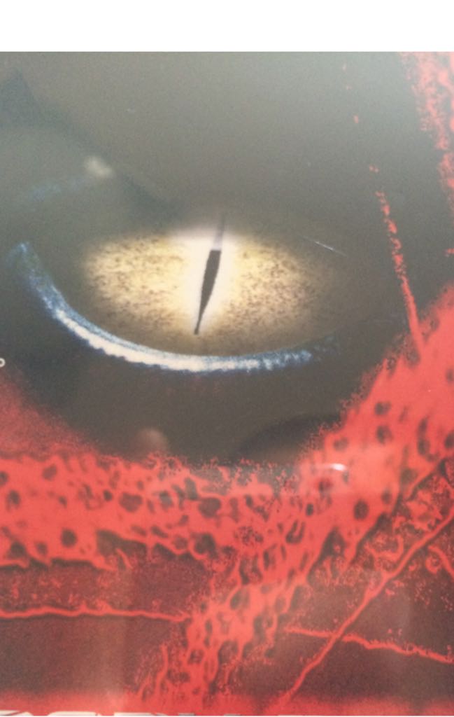 Petz, My Monkey Family