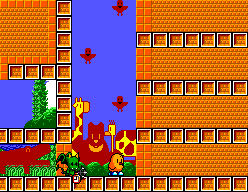 The New Zealand Story - Sega Master System (TecMagik) video game collectible - Main Image 4