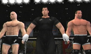 Ultimate Fighting Championship - Sega Dreamcast (Ubisoft Entertainment - 2) video game collectible [Barcode 3307211305267] - Main Image 2