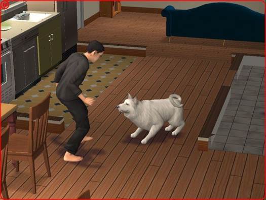 The Sims 2: Pets - Nintendo Wii (EA / Electronic Arts - 1) video game collectible [Barcode 5030941058780] - Main Image 2