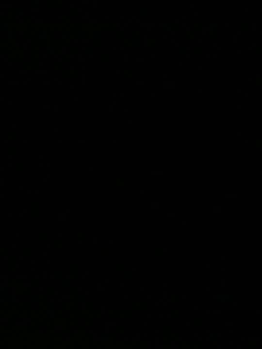 Pokemon Emerald Version - Nintendo DS video game collectible - Main Image 2